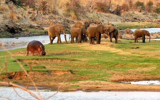 
4 Days Ruaha National Park Safari