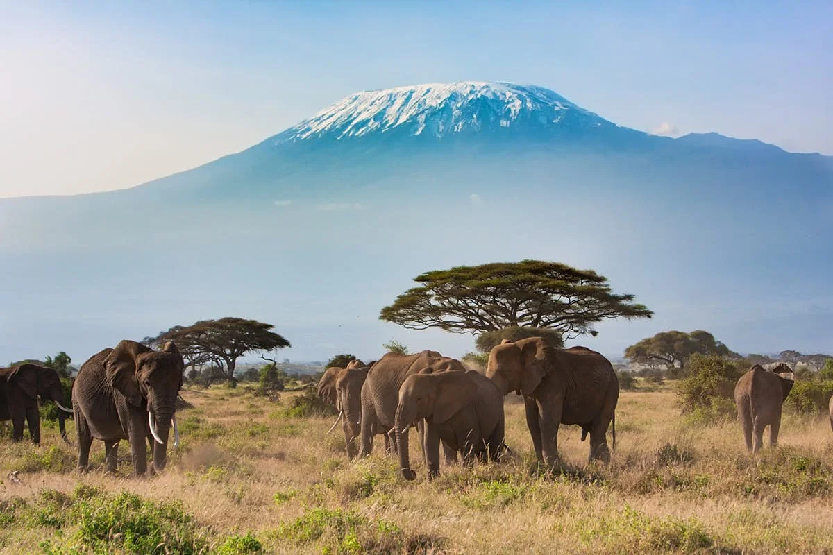 
3 Days 2 Nights Wonderful Amboseli National Park Experience