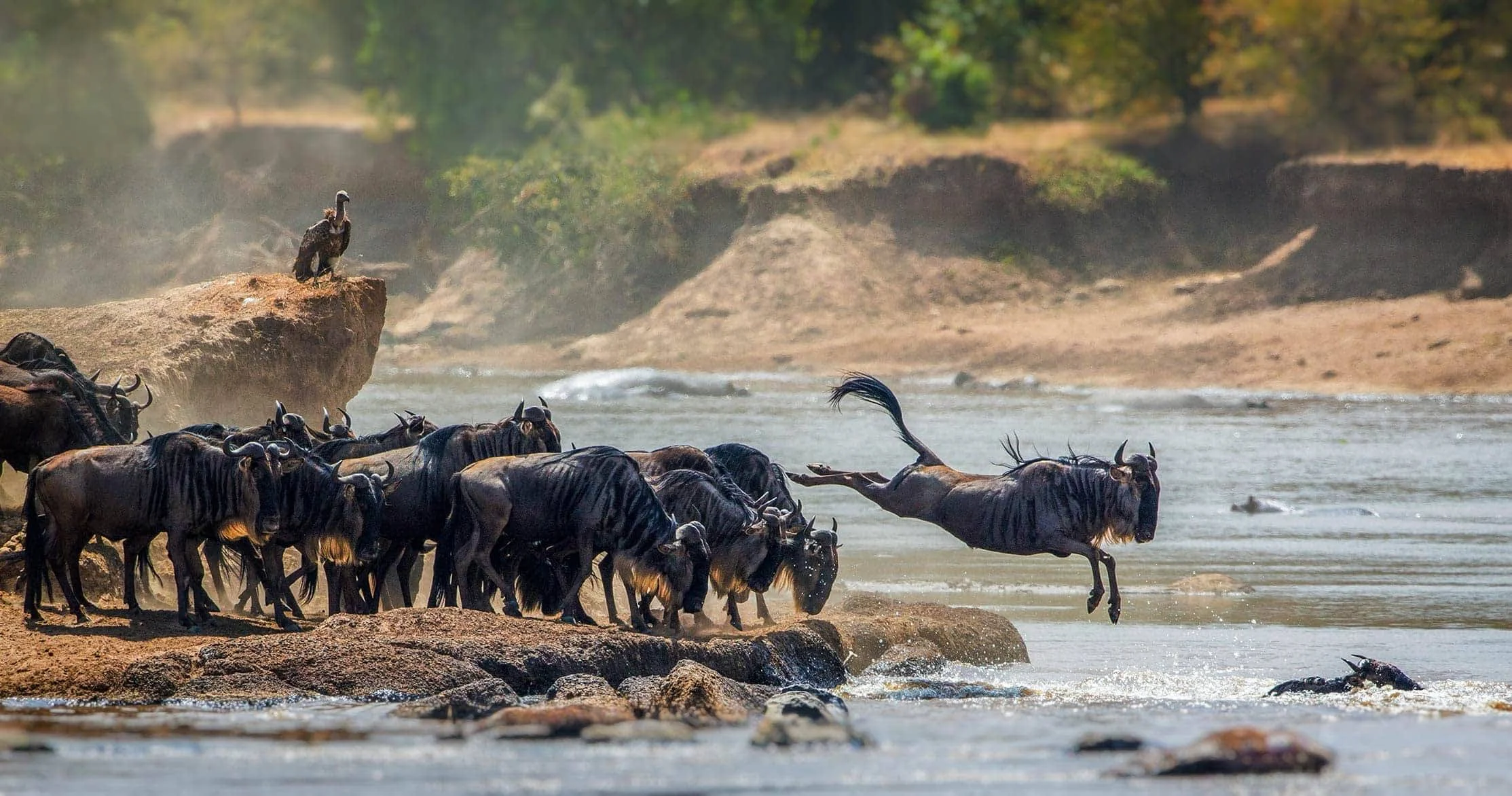 
5 Days Serengeti National Park Safari