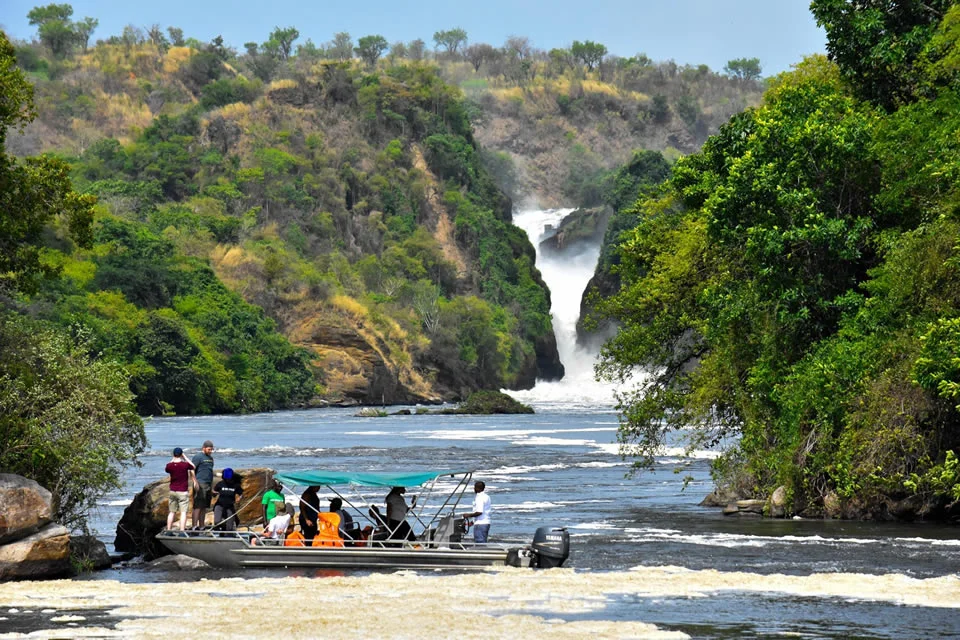 
5 Days Murchison Falls & Kibale Forest, Uganda