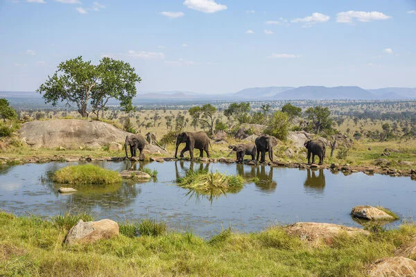 
5 Days L. Manyara, Ngorongoro & Tarangire, Tanzania