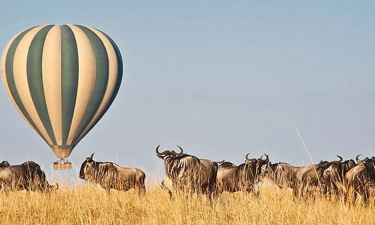 
8 Days; Classic Tanzania Luxury Safari