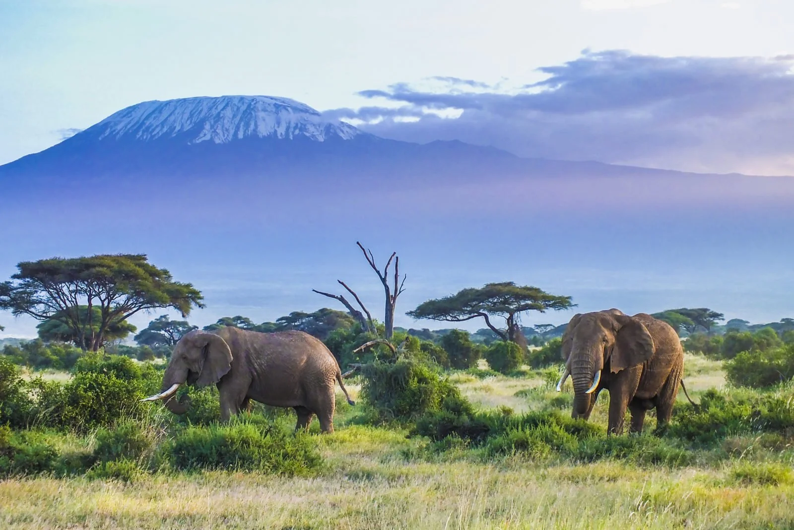 
18 Days 17 Nights Tanzania Mt Kilimanjaro Hike, Safari Zanzibar Beach Experience