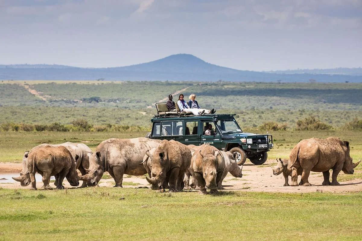 
2  Days Visit To Ol Pejeta Conservancy